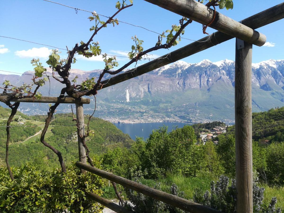 Agriturismo La Zangola Tremosine Zewnętrze zdjęcie