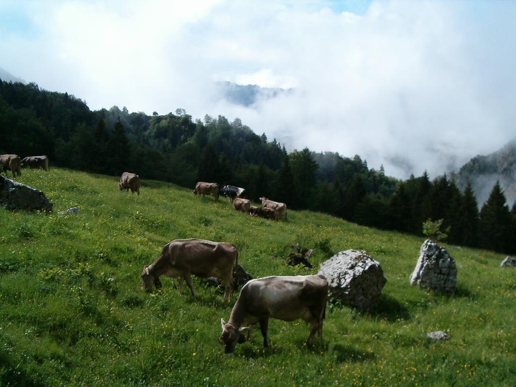 Agriturismo La Zangola Tremosine Zewnętrze zdjęcie